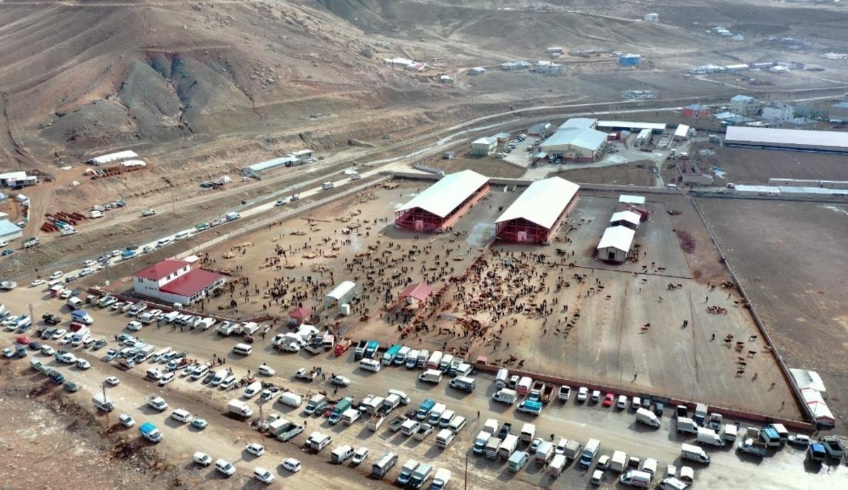 Vanlı hayvan sahiplerine k&uuml;pe affı m&uuml;jdesi