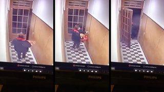 Pizzacı kurye teslimat yaptığı apartmandan kedi çaldı!
