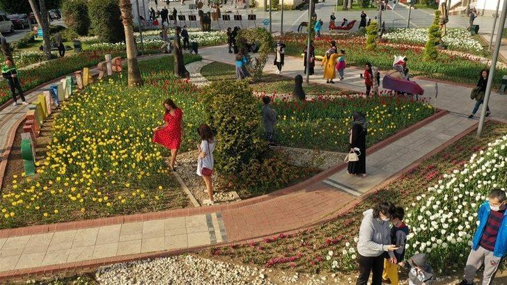 Alanya’da baharın müjdecisi çiçekler açtı G2