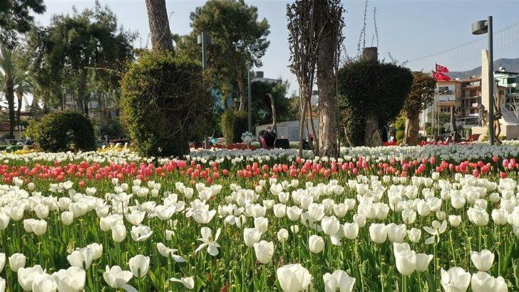 Alanya’da baharın müjdecisi çiçekler açtı G5