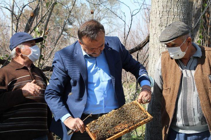 Arılar çiçekle buluştu, yetiştiriciyi ilaçlama korkusu sardı G2