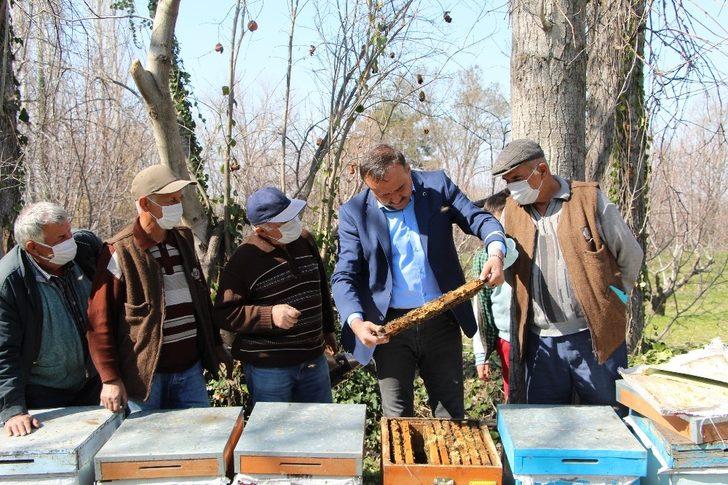 Arılar çiçekle buluştu, yetiştiriciyi ilaçlama korkusu sardı G4