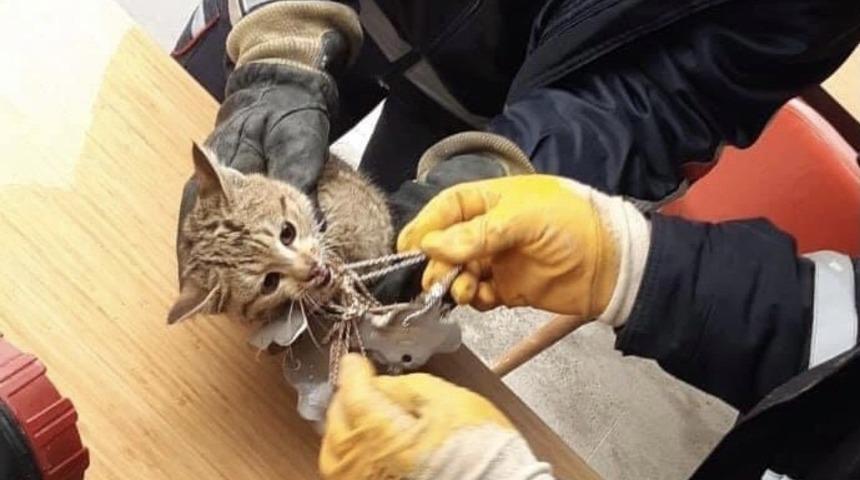 Minik yaramaz kurtarıldı