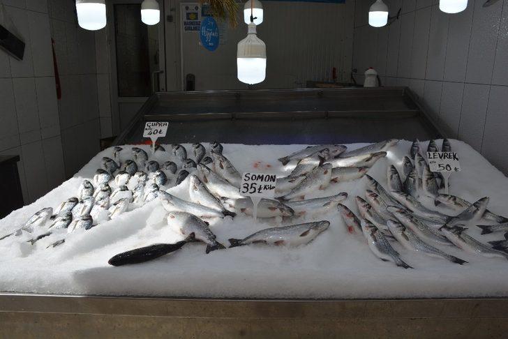 Sinop’ta tezgahlar havuz balıklarına kaldı G2