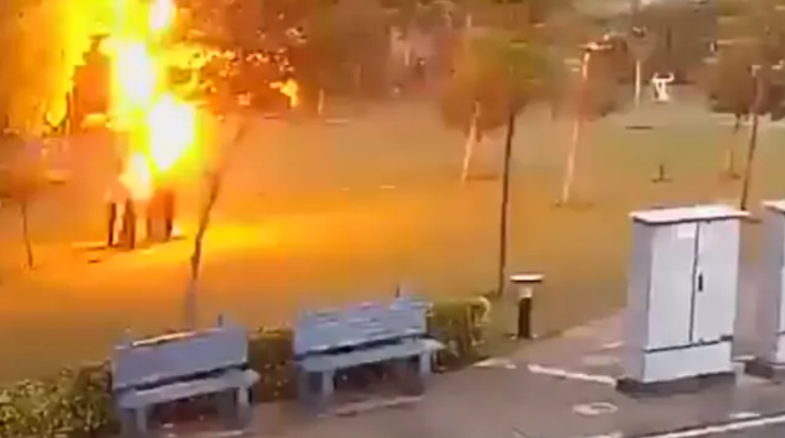 Hindistan'da yağmurdan korunmak isteyen 4 kişinin sığındığı ağaca yıldırım düştü