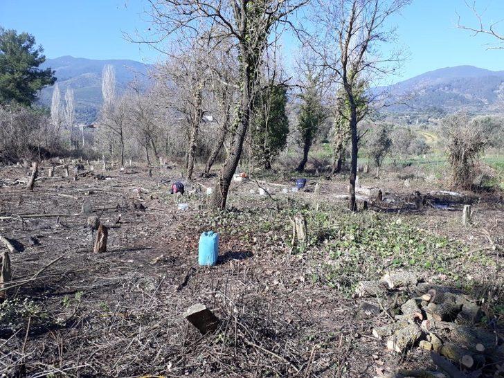 İşçilerin dikkati şehit mezarını gün yüzüne çıkardı G2