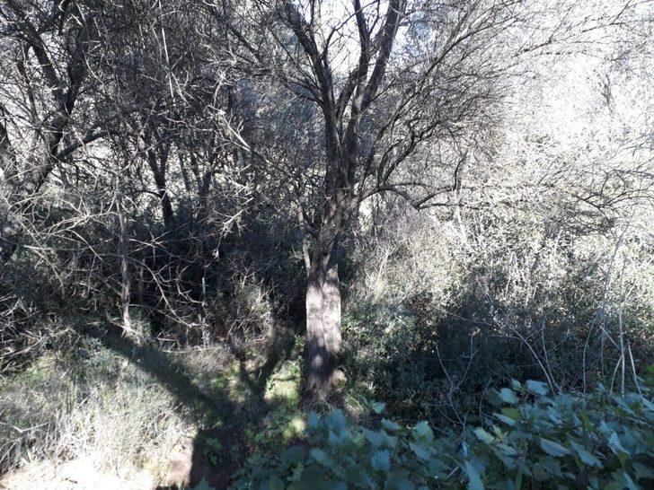 İşçilerin dikkati şehit mezarını gün yüzüne çıkardı G3