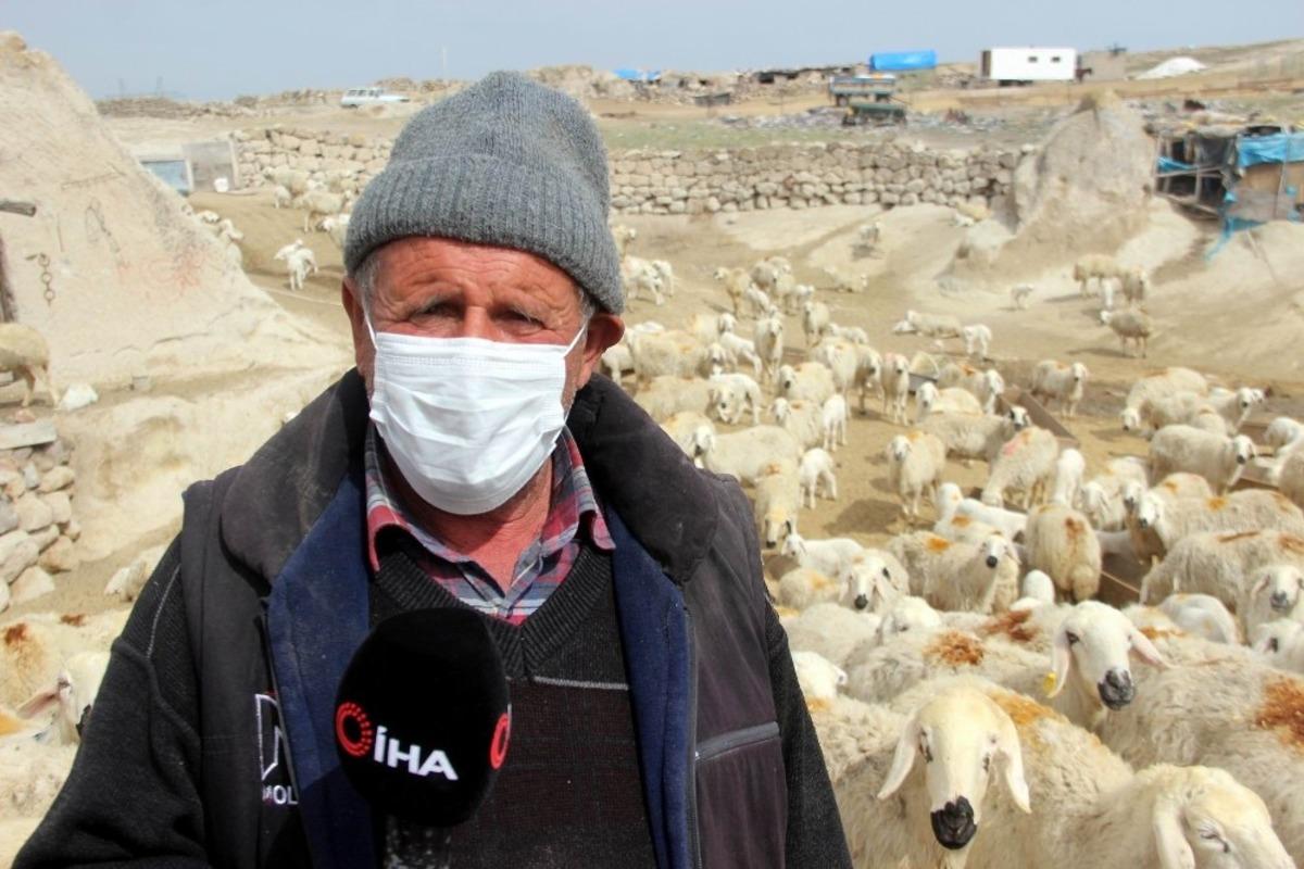 Molulu besici başıboş k&ouml;peklerden şikayet&ccedil;i