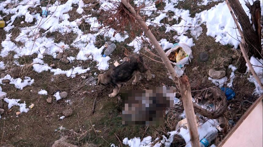 &Ouml;len kardeşinin başından saatlerce ayrılmadı