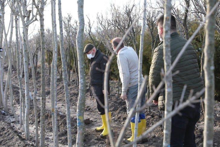 Başkan Çolakbayrakdar: “Yemyeşil bir Kocasinan inşa ediyoruz” G3