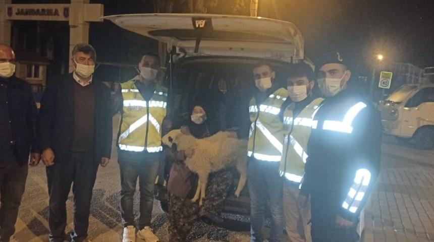 Evin &ouml;n&uuml;nden &ccedil;alınan kuzu bulunup sahibine teslim edildi