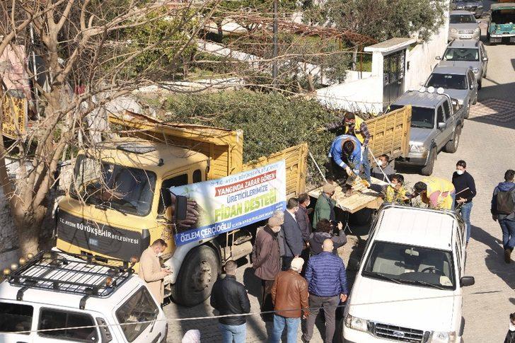 Büyükşehir’den binlerce zeytin ve incir ağacı desteği G1