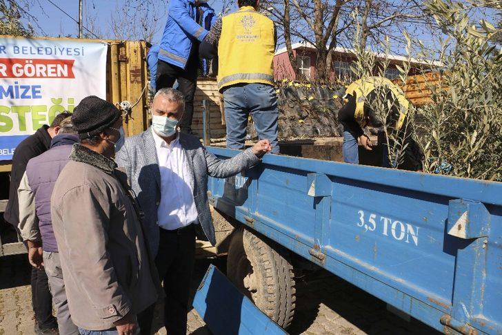 Büyükşehir’den binlerce zeytin ve incir ağacı desteği G3