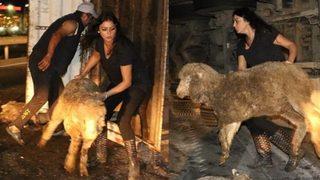 Bir anda yola savruldular! Gören koşup geldi