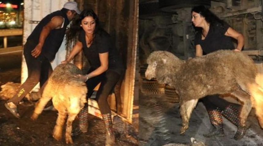 Bir anda yola savruldular! Gören koşup geldi