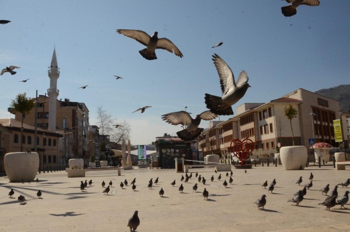 Ordu&rsquo;da korona vir&uuml;s sessizliği