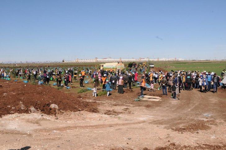 Kayapınar Şehir Ormanına 10 bin fidan dikildi G2