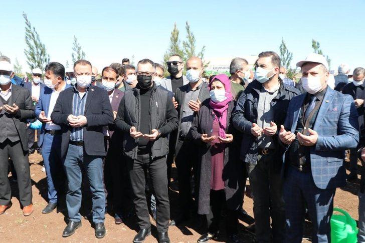 Kayapınar Şehir Ormanına 10 bin fidan dikildi G3