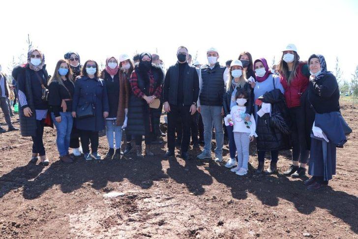 Kayapınar Şehir Ormanına 10 bin fidan dikildi G4