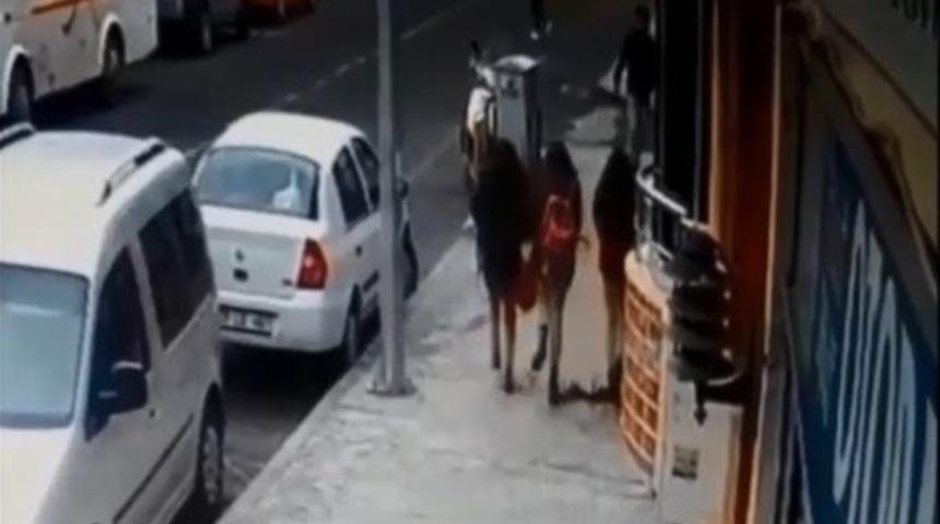 &Ouml;ğrenciler &uuml;zerlerine d&uuml;şen saksıdan kıl payı kurtuldular