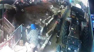 Isparta'da şap aşısı yapacak ekibe tepki gösteren büyükbaş hayvanlar, ahırın demirlerini söktü