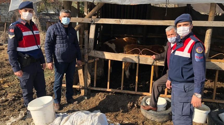 Bir aydır kayıp olan hayvanlarını jandarma drone ile buldu