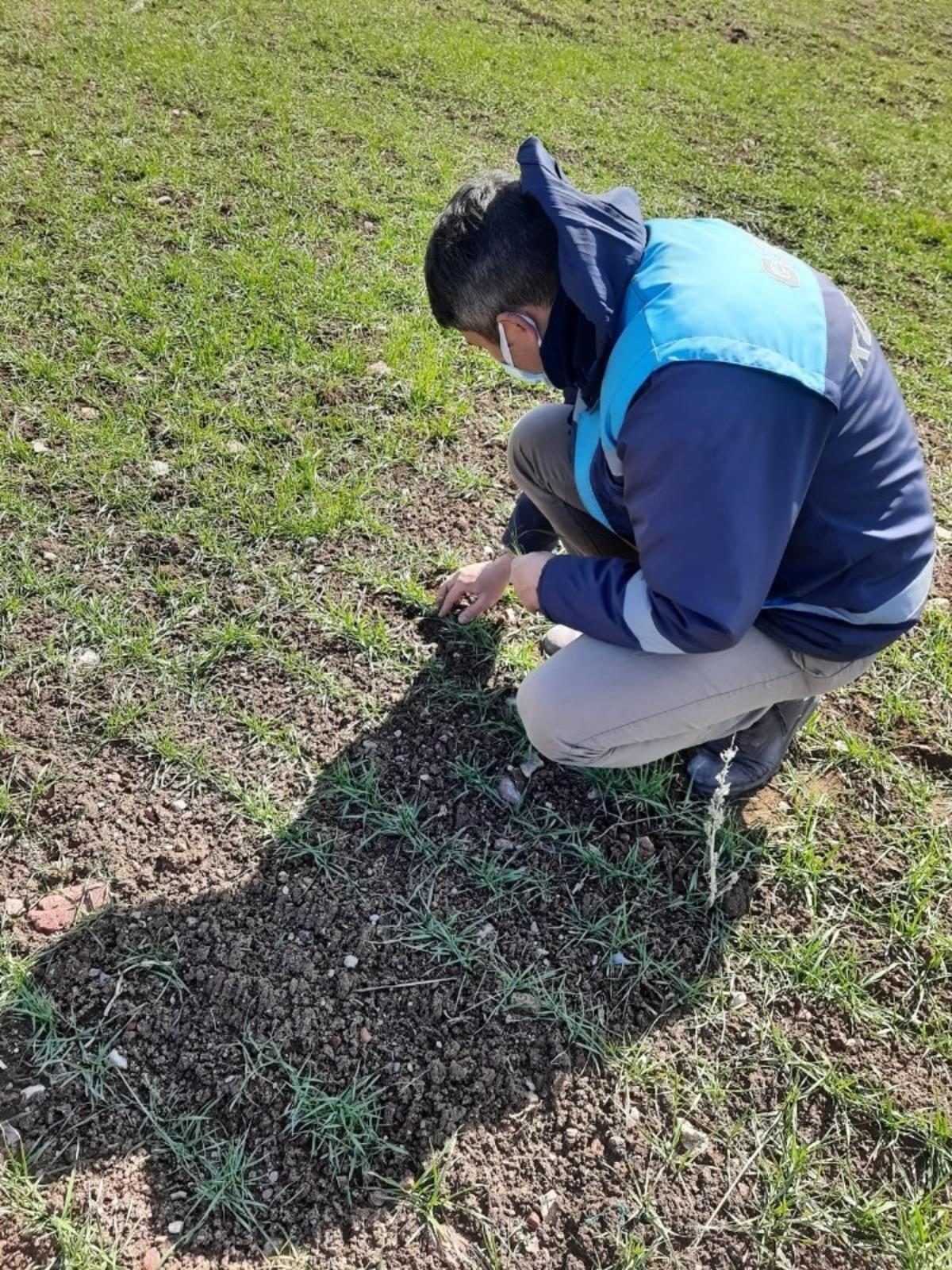Aslanapa&rsquo;da ekili alanlar kontrol edildi