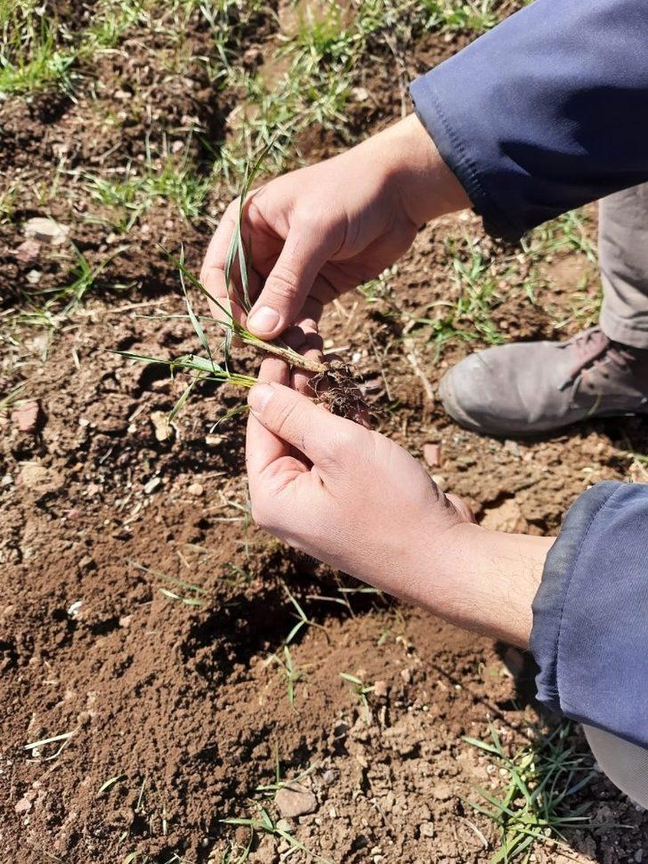 Aslanapa’da ekili alanlar kontrol edildi G3