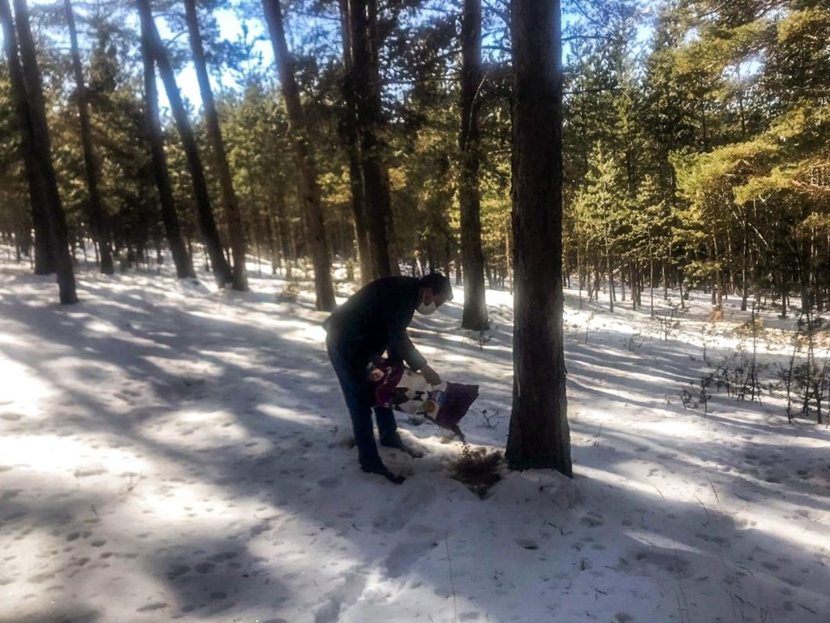Doğadaki yaban hayvanları i&ccedil;in yiyecek bırakıldı