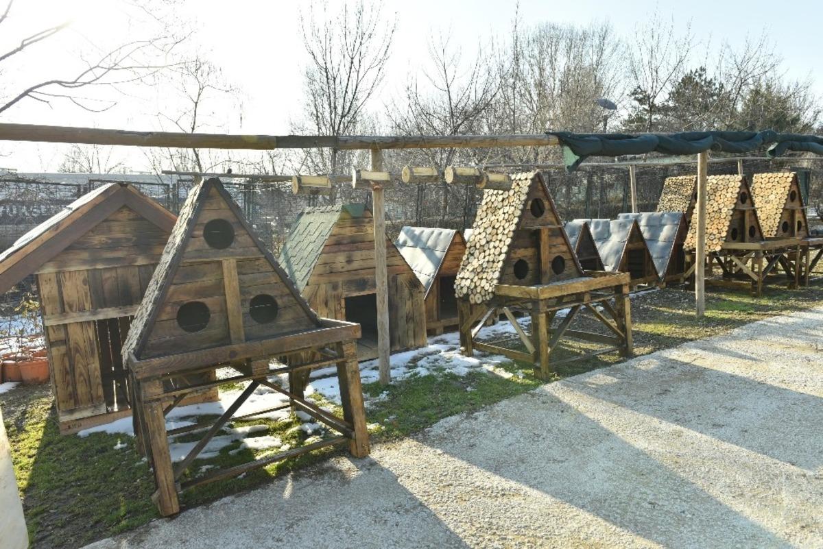 B&uuml;y&uuml;kşehir&rsquo;den can dostlara &ccedil;evreci ahşap yuvalar