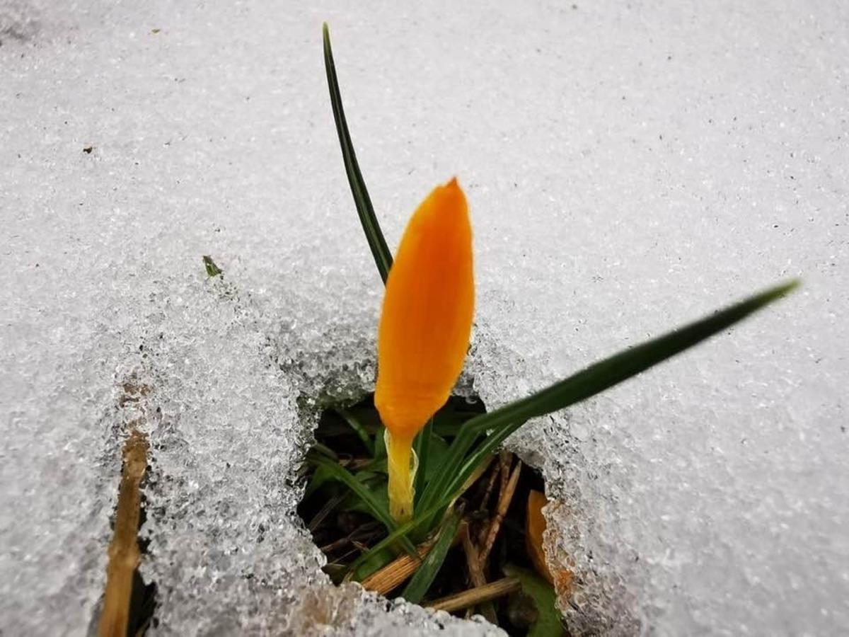 Murat Dağı&rsquo;nda iki mevsim bir arada