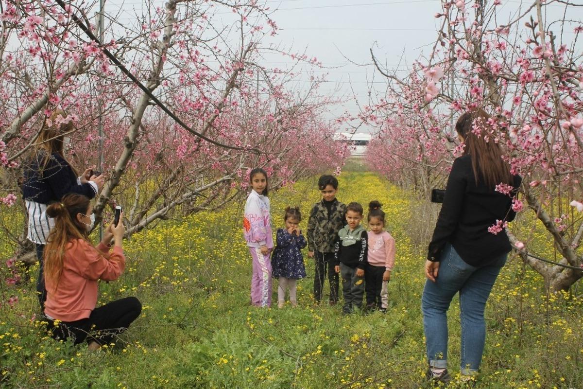 Badem ağa&ccedil;ları &ccedil;i&ccedil;ek a&ccedil;tı vatandaşlar bah&ccedil;elere akın etti