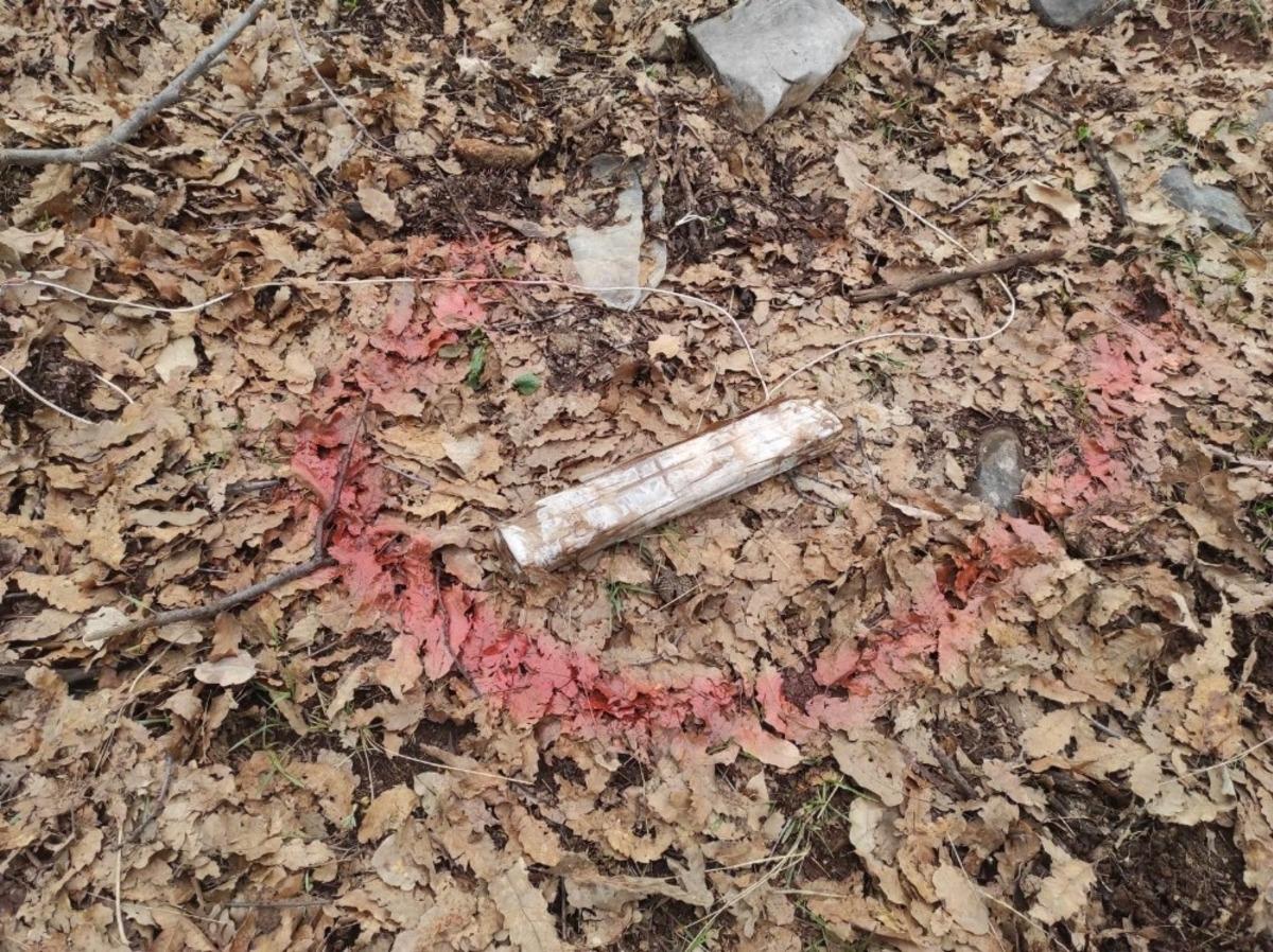 Siirt&rsquo;te PKK&rsquo;lı ter&ouml;ristlerin tuzağı son anda &ouml;nlendi