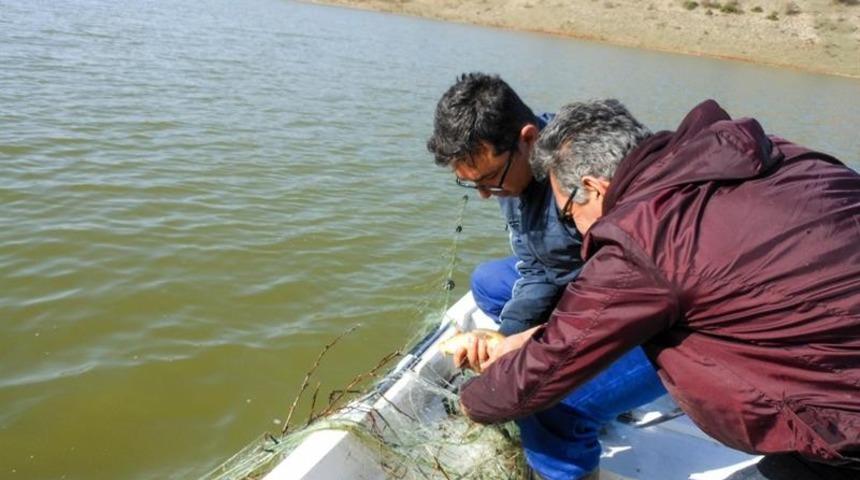 Eskişehir i&ccedil; sularında 3 ay s&uuml;recek olan av yasağı başladı