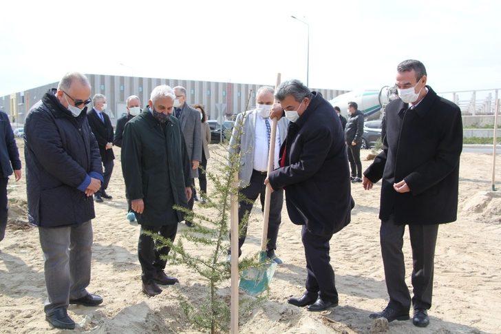 Tekirdağ’da sağlık çalışanları için binlerce fidan dikildi G2