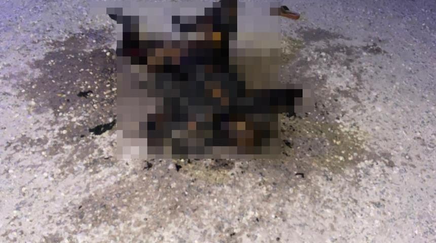 Şanlıurfa&rsquo;da yanmış kadın cesedi bulundu