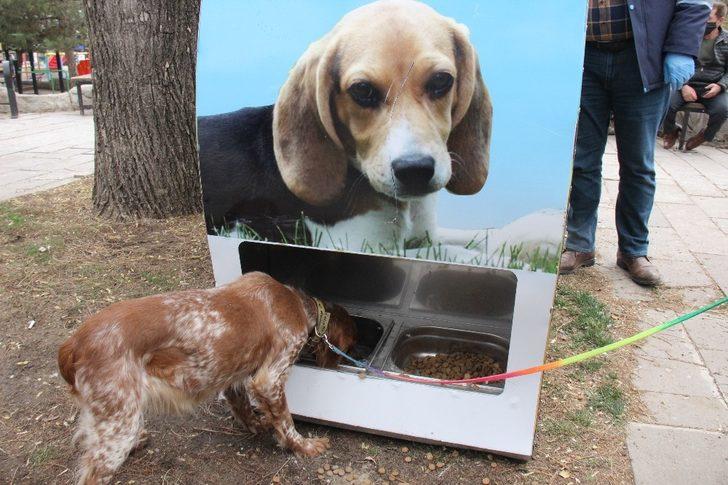 Bu projeyle hem hayvanlar beslenecek hem çevre kirliliği önlenecek G3