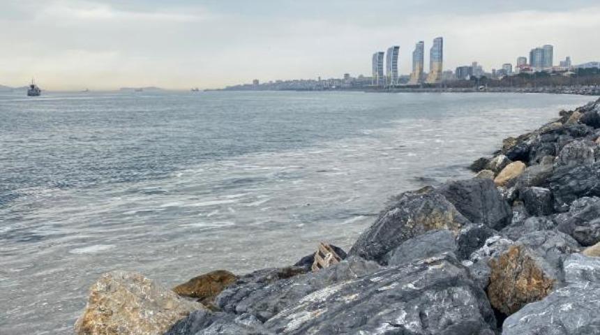 Pendik ve Kartal sahilinde tedirgin eden görüntü! 'Daha önce rastlamamıştık'