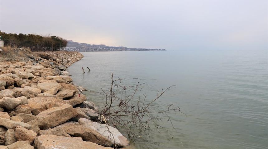 Van'da mesire alanındaki ağaçlar kesilip göle atıldı