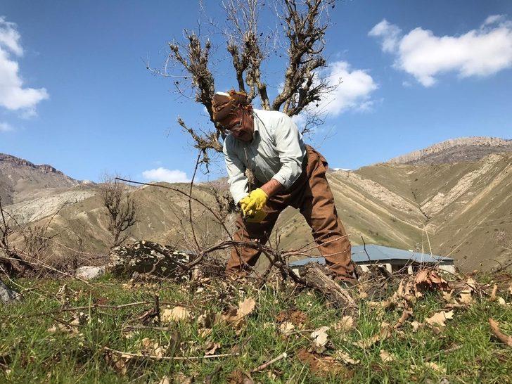 Üzüm bağlarında budama çalışması G5