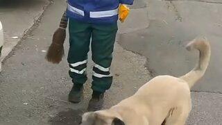 Süpürgesini kaçıran sokak köpeğine ‘o bana zimmetli’ diye seslendi