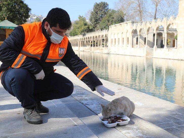 Büyükşehir, Covid-19 salgının ilk dakikalarından itibaren sahada G1