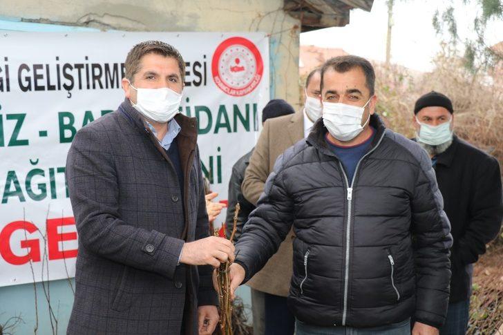 Kovancılar’da 5 bin 500 meyve fidanı dağıtıldı G1