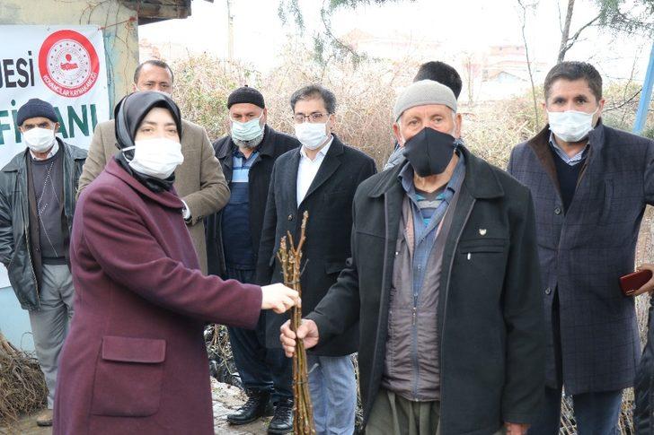 Kovancılar’da 5 bin 500 meyve fidanı dağıtıldı G2