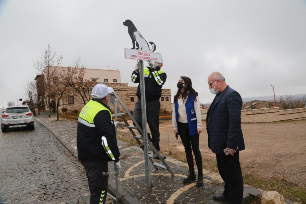 Elazığ&rsquo;da sokak hayvanlarını korumak i&ccedil;in uyarı tabelası