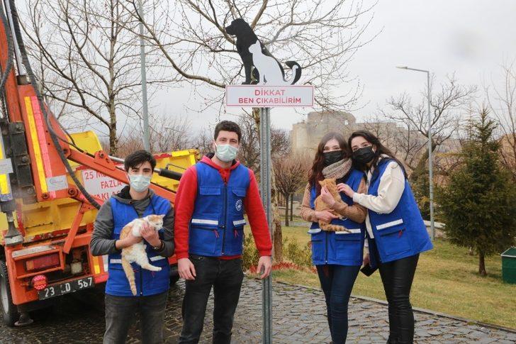 Elazığ’da sokak hayvanlarını korumak için uyarı tabelası G2