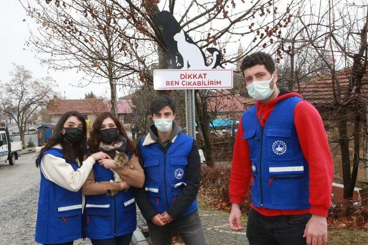Elazığ’da sokak hayvanlarını korumak için uyarı tabelası G3