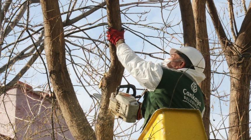Çankaya’da martın sonu bahar