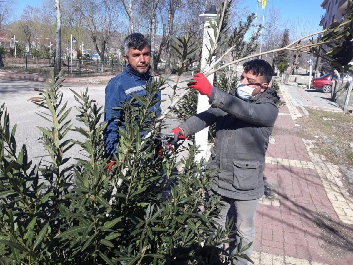 G&ouml;lbaşı il&ccedil;esinde ağa&ccedil;lar budanıyor