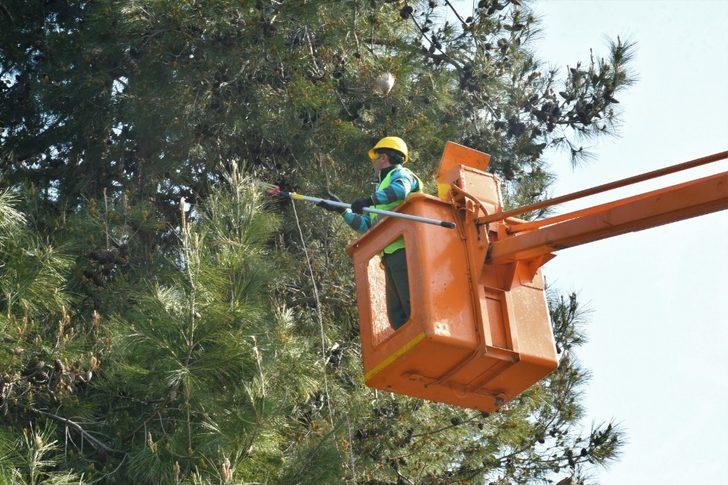 Park ve bahçelere makyaj G3